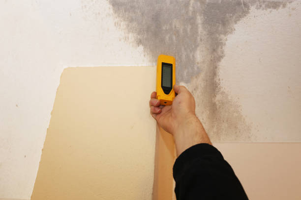 Best Asbestos and Lead Testing During Mold Inspection  in Temple, GA