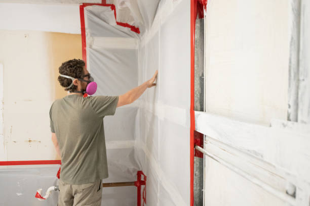 Best Mold Removal for HVAC Installations  in Temple, GA