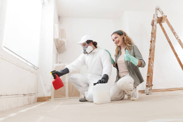 Best Dehumidification Services  in Temple, GA