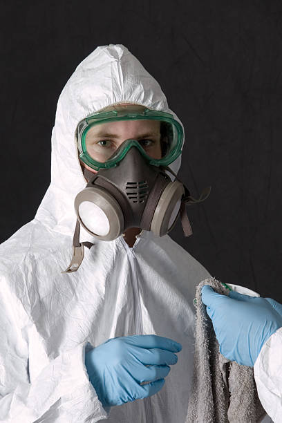 Professional Mold Removal in Temple, GA